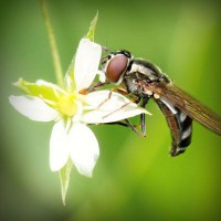/album/bienvenue-chez-moi/photolia-a02-jpg/