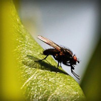 /album/bienvenue-chez-moi/photolia-a04-jpg/