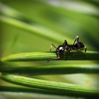 /album/bienvenue-chez-moi/photolia-a05-jpg/