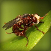 /album/bienvenue-chez-moi/photolia-a06-jpg/