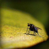 /album/bienvenue-chez-moi/photolia-a07-jpg/