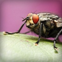 /album/bienvenue-chez-moi/photolia-a08-jpg/